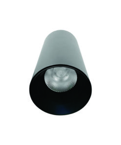 Đèn chiếu sâu gắn nổi trang trí 20W DIB1202 Duhal