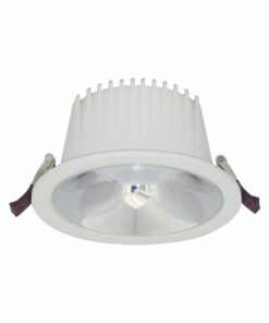 Đèn DOWNLIGHT CHIẾU SÂU 20W BFA0201 Duhal