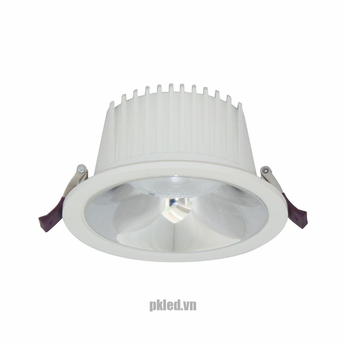 Đèn DOWNLIGHT CHIẾU SÂU 20W BFA0201 Duhal