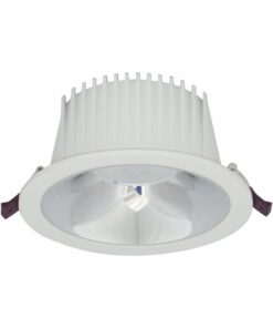 ĐÈN LED DOWNLIGHT CHIẾU SÂU 30W (BFA0301)