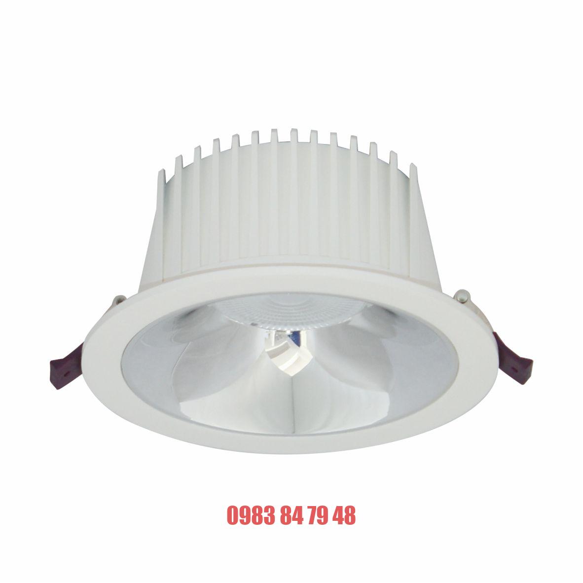 Đèn DOWNLIGHT CHIẾU SÂU 30W BFA0301 Duhal