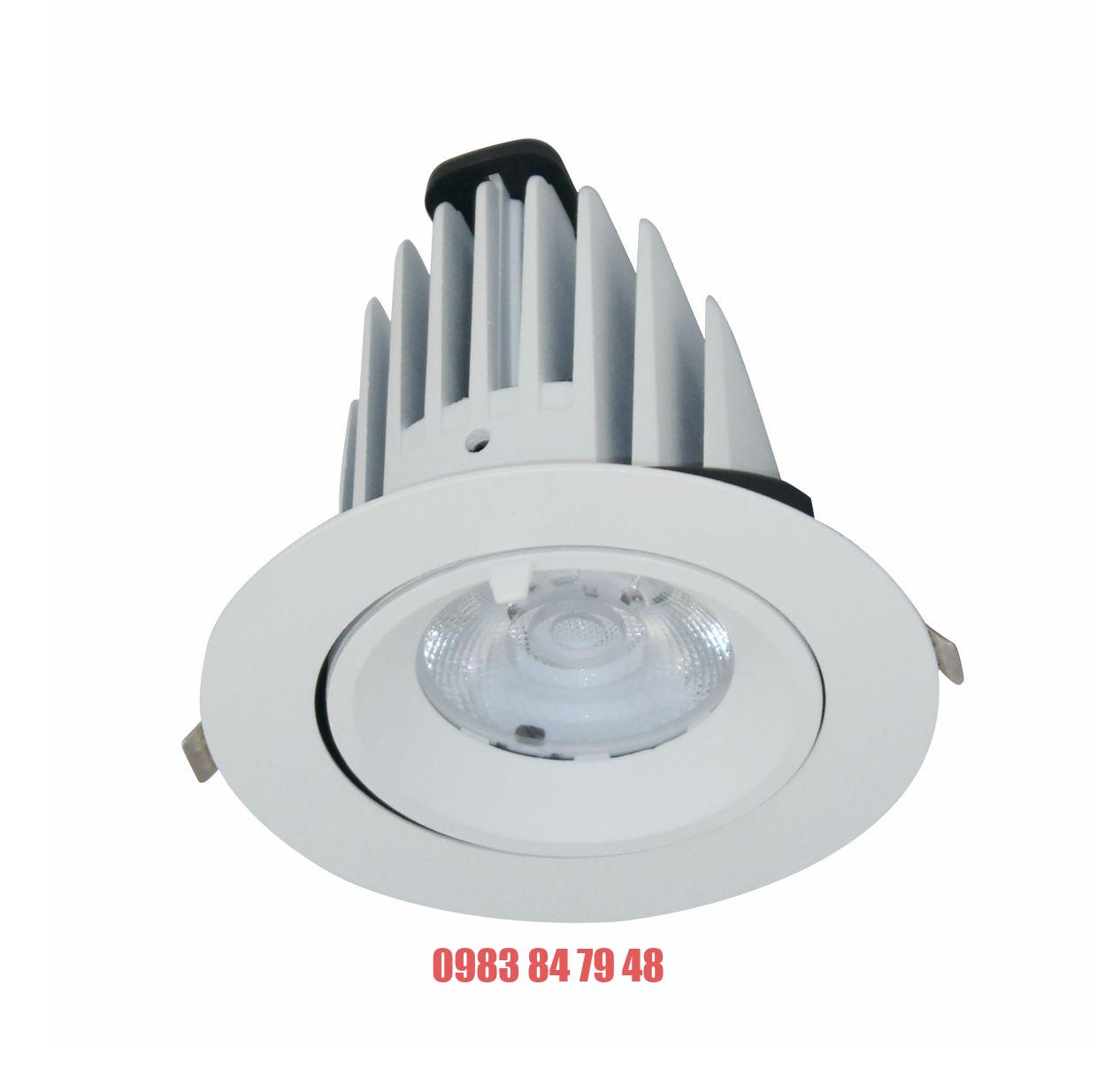 ĐÈN LED DOWNLIGHT CHIẾU SÂU 30W (BIB0301)