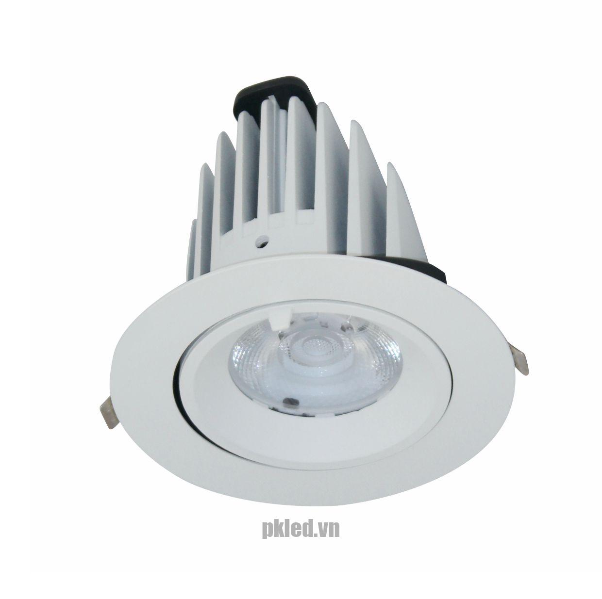 Đèn DOWNLIGHT CHIẾU SÂU 30W BIB0301 Duhal