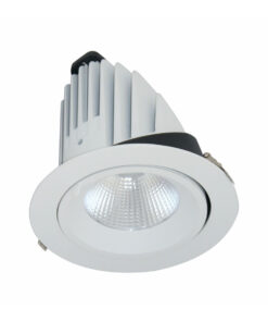 ĐÈN LED DOWNLIGHT CHIẾU SÂU 40W (BIB0401)