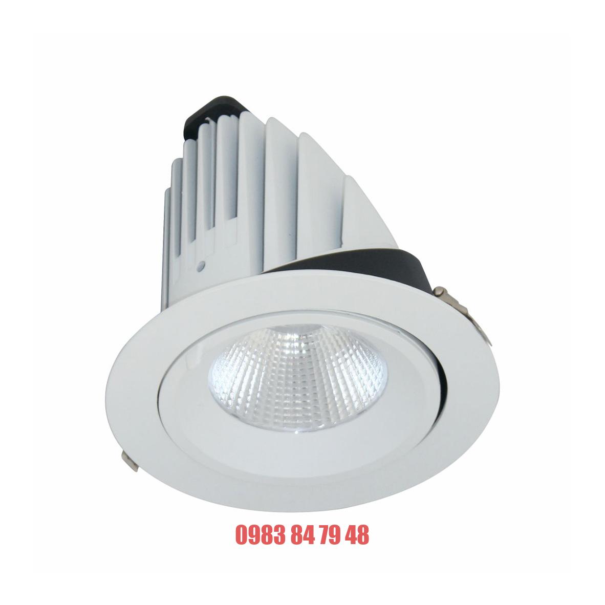 Đèn DOWNLIGHT CHIẾU SÂU 40W BIB0401 Duhal