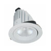 Đèn DOWNLIGHT CHIẾU SÂU 50W BIB0501 Duhal