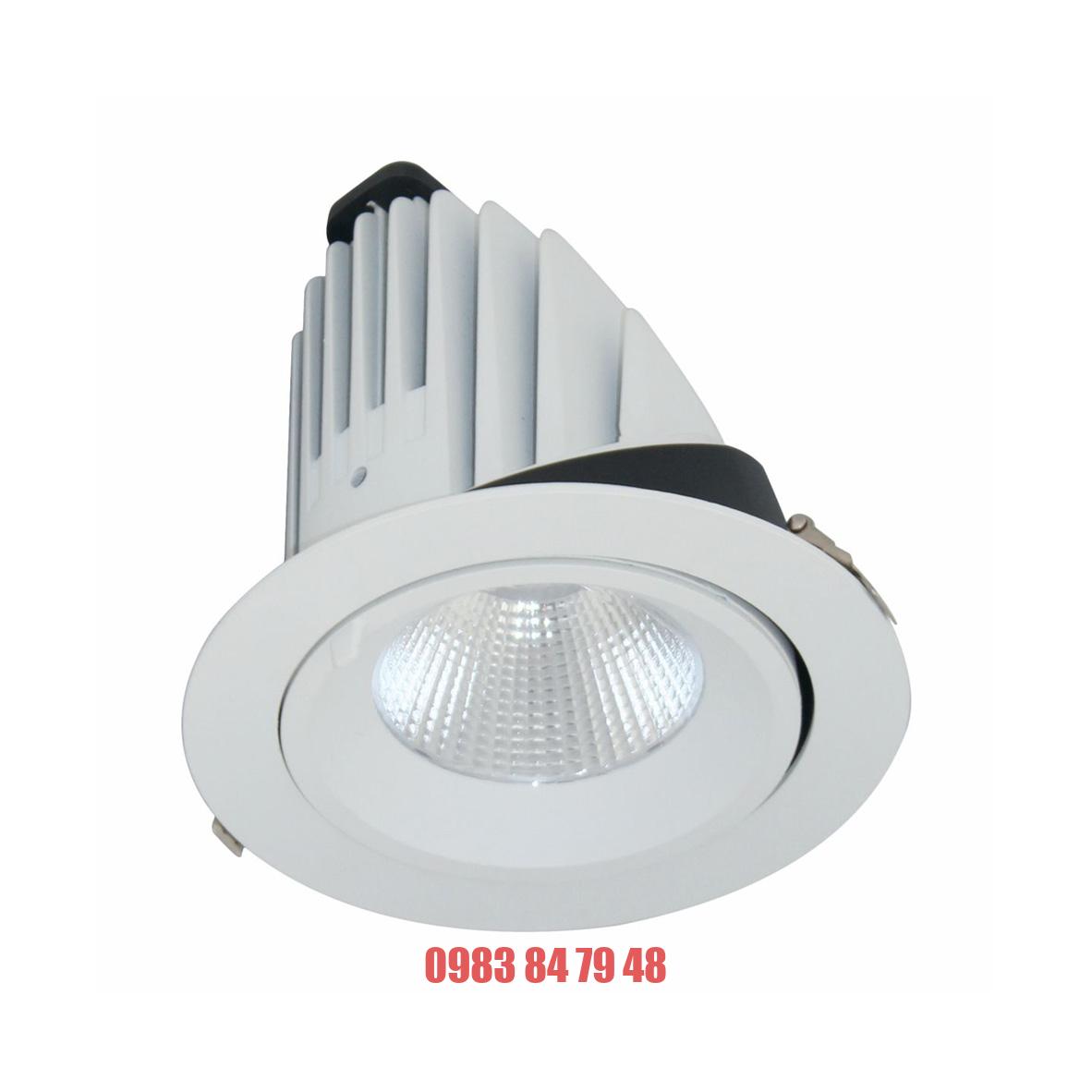 ĐÈN LED DOWNLIGHT CHIẾU SÂU 50W (BIB0501)