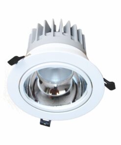 Đèn LED Downlight Chiếu Điểm Âm Trần 20W (DFA0202)