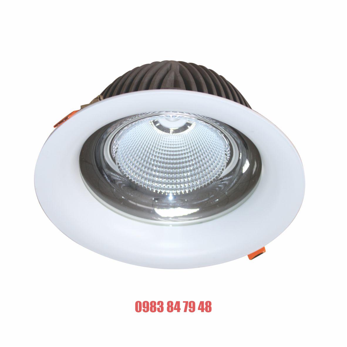 Đèn Downlight Chiếu Sâu Trần Cao 40W DFA0403 Duhal