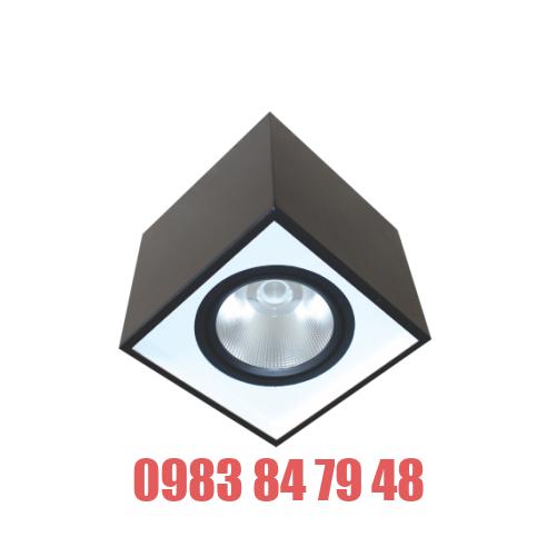 ĐÈN LED DOWNLIGHT GẮN NỔI CHIẾU SÂU 10W (DFB1101)