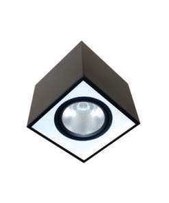 Đèn DOWNLIGHT GẮN NỔI CHIẾU SÂU 30W DFB1301 Duhal