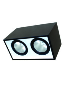 Đèn DOWNLIGHT GẮN NỔI CHIẾU SÂU 2x10W DFB2101 Duhal