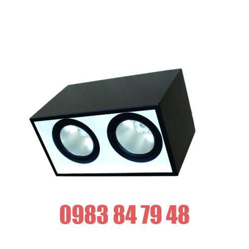 ĐÈN LED DOWNLIGHT GẮN NỔI CHIẾU SÂU 2x15W (DFB2151)