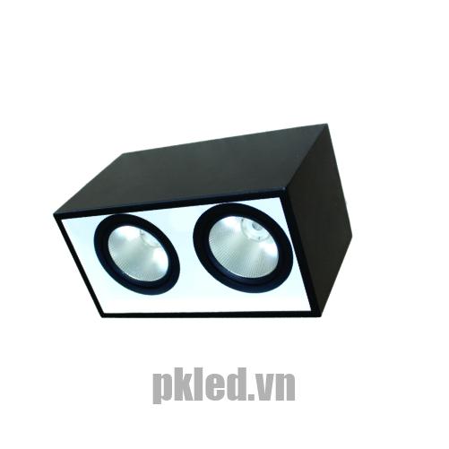 Đèn DOWNLIGHT GẮN NỔI CHIẾU SÂU 2x15W DFB2151 Duhal