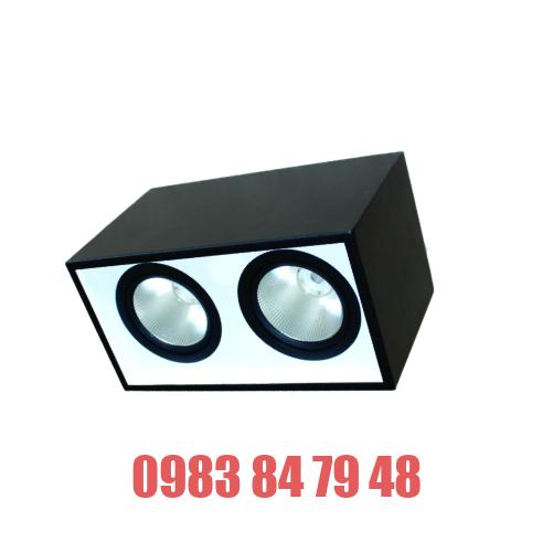 ĐÈN LED DOWNLIGHT GẮN NỔI CHIẾU SÂU 2x30W (DFB2301)