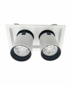Đèn DOWNLIGHT CHIẾU ĐIỂM 2x30W DFC2302 Duhal