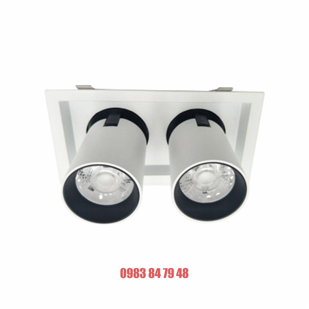 ĐÈN LED DOWNLIGHT CHIẾU ĐIỂM 2x30W (DFC2302)