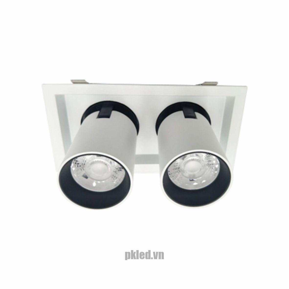 Đèn DOWNLIGHT CHIẾU ĐIỂM 2x30W DFC2302 Duhal