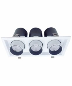 Đèn DOWNLIGHT CHIẾU ĐIỂM 3x30W DFC3301 Duhal