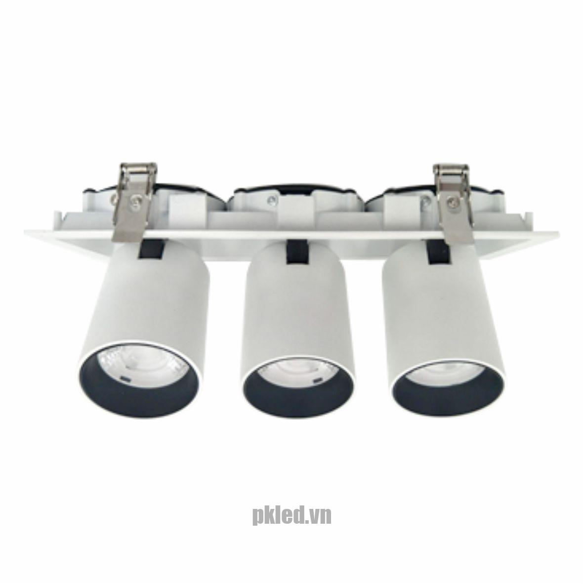 Đèn DOWNLIGHT CHIẾU ĐIỂM 3x15W DFC3152 Duhal