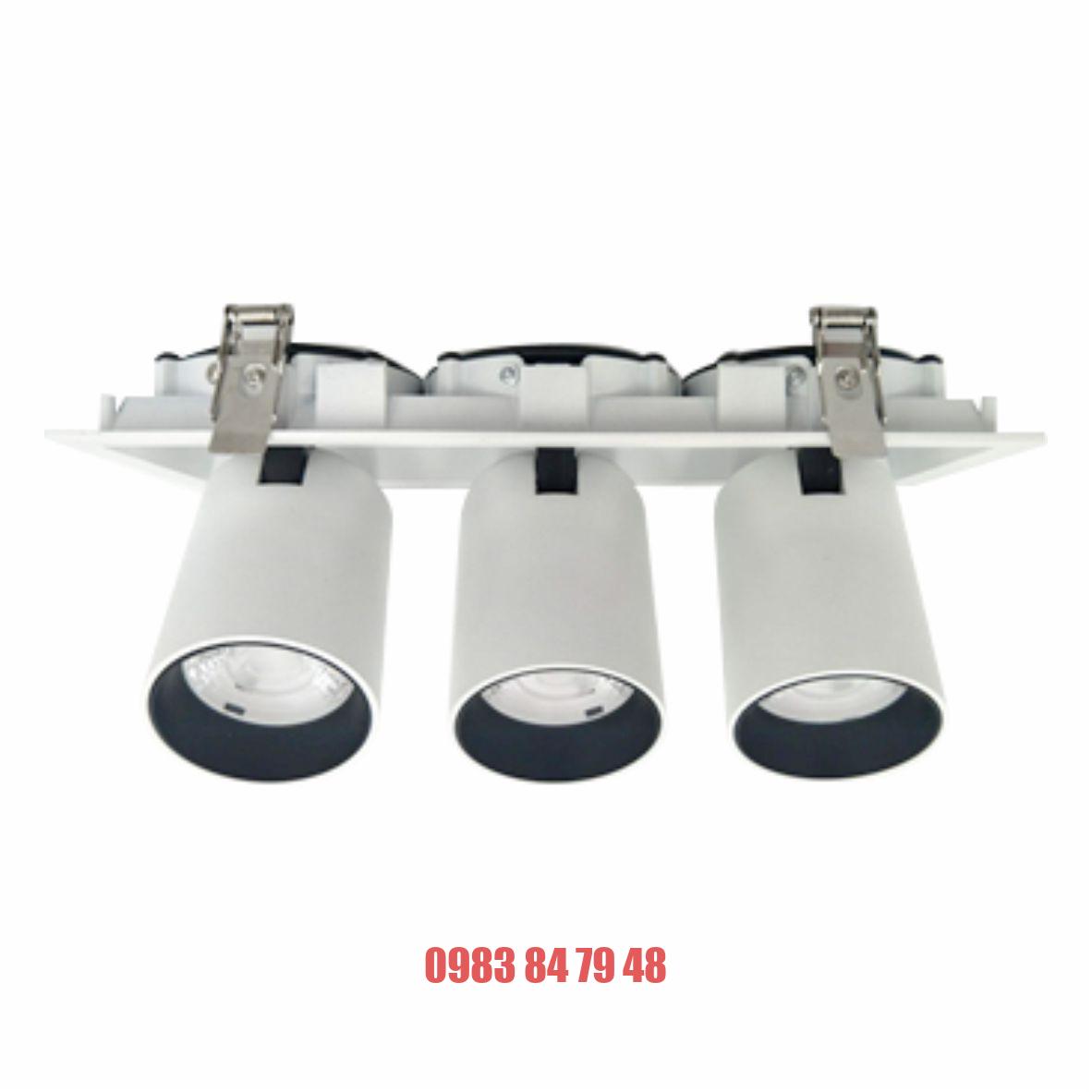 Đèn DOWNLIGHT CHIẾU ĐIỂM 3x30W DFC3302 Duhal