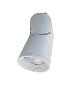 Đèn Gắn Nổi Chiếu Điểm Trang Trí 10W DIB0105 Duhal