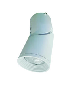 Đèn Led Gắn Nổi Chiếu Điểm Trang Trí 10W (DIB0105)