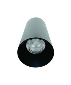 Đèn led chiếu sâu Duhal