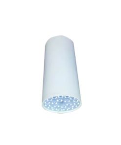 ĐÈN LED CHIẾU SÂU GẮN NỔI TRANG TRÍ 21W (DIB1213)