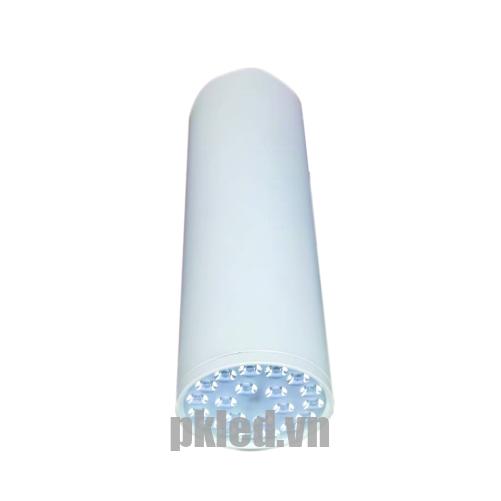 Đèn led chiếu sâu Duhal