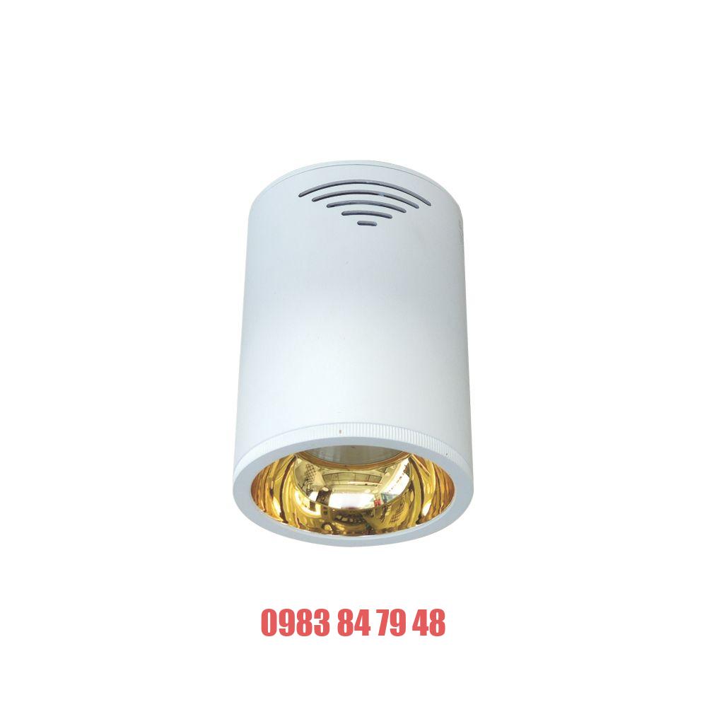 Đèn led chiếu sâu Duhal