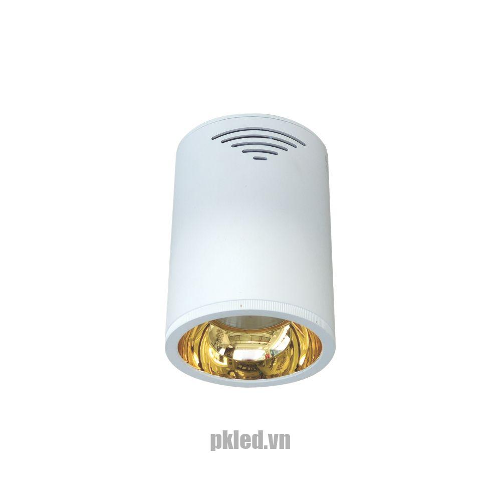 Đèn led chiếu sâu Duhal