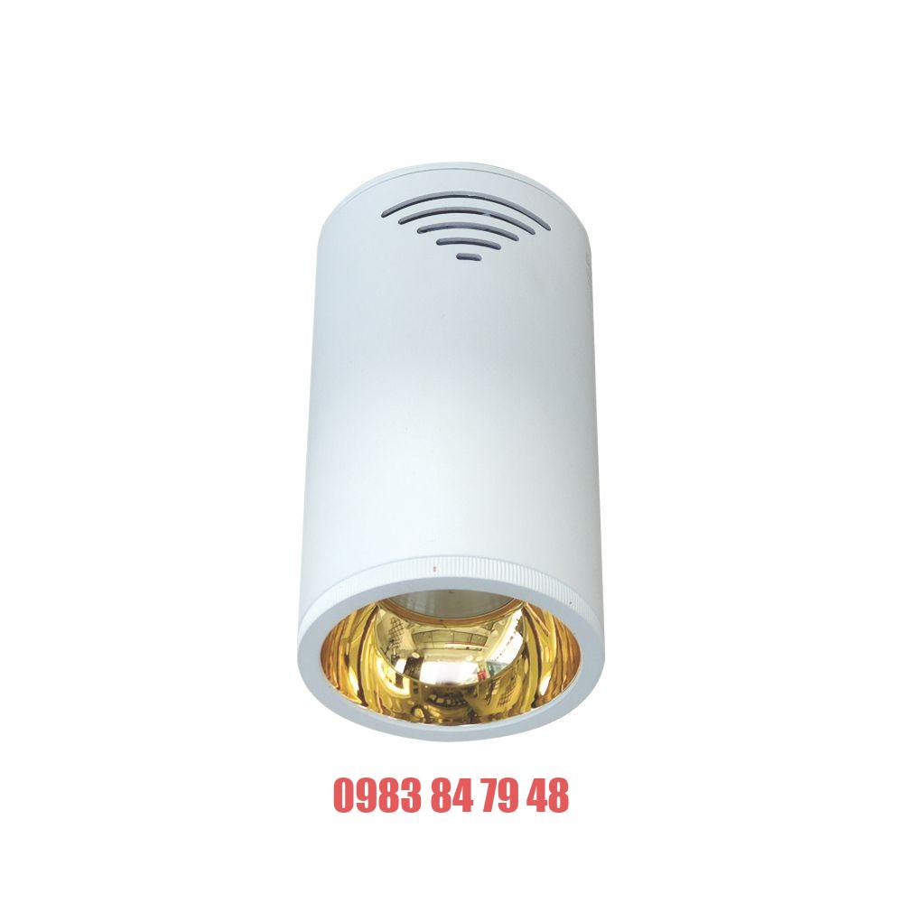 Đèn led chiếu sâu Duhal