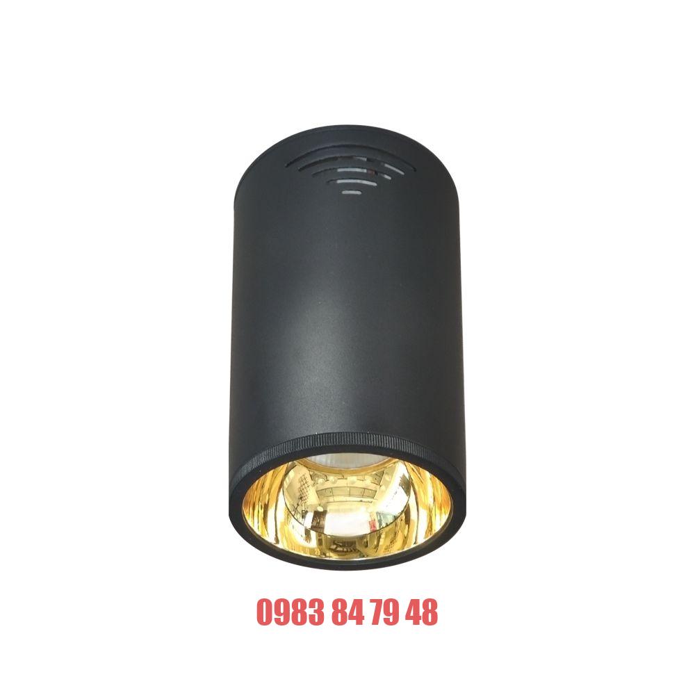 Đèn led chiếu sâu Duhal