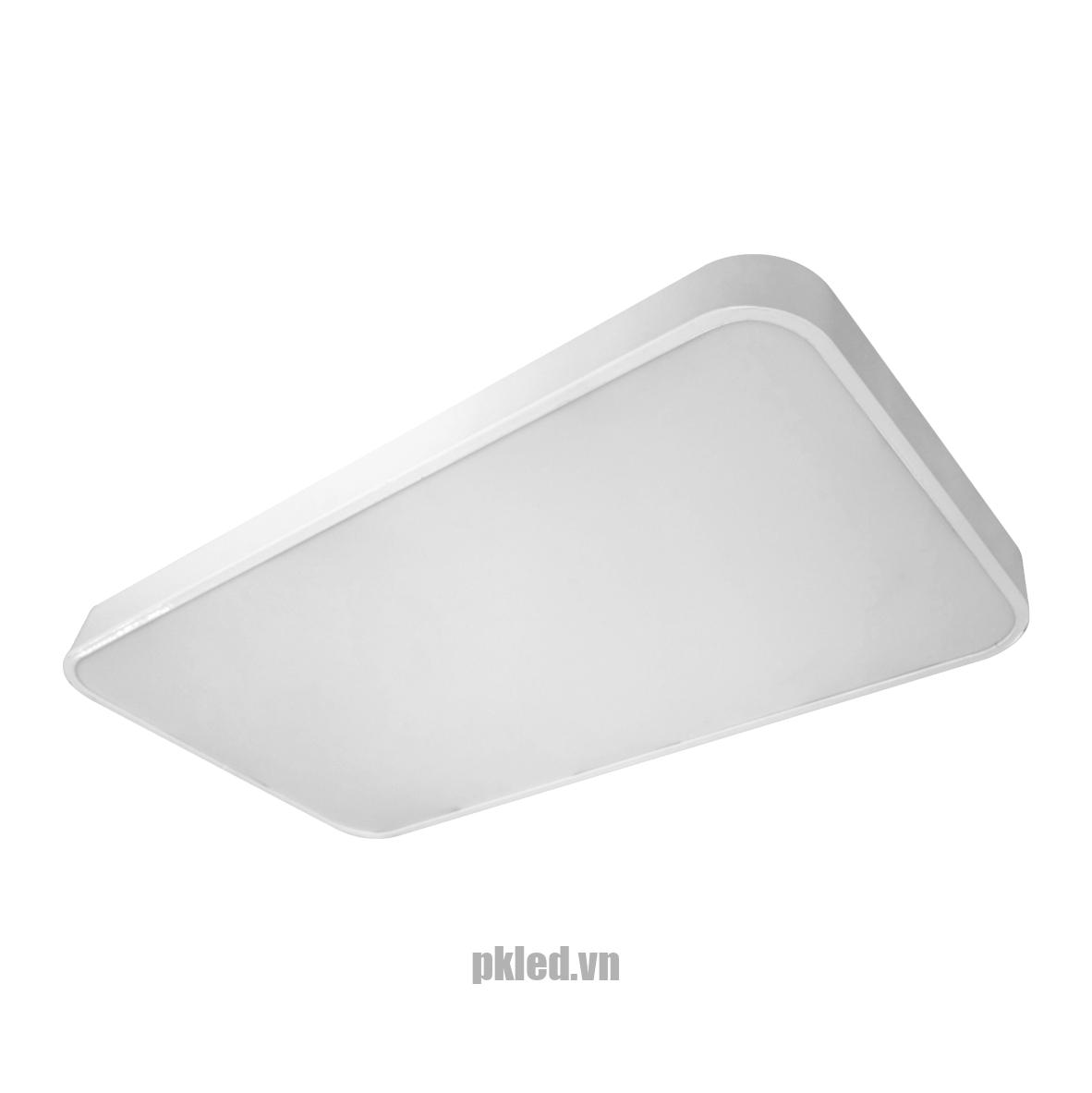 Đèn ỐP TRẦN VIỀN NHÔM 30W DLN0301 Duhal