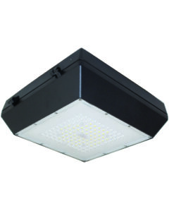 Đèn Pha Led Ốp Trần 30W (DRG0301)