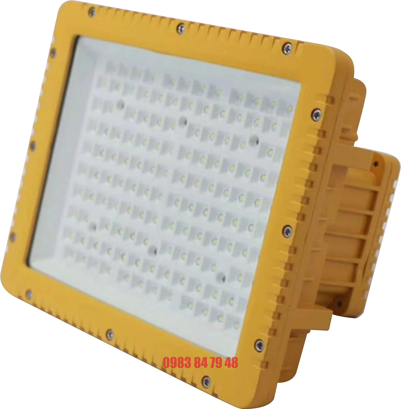 ĐÈN PHA LED CHỐNG NỔ 100W (DCN2100).