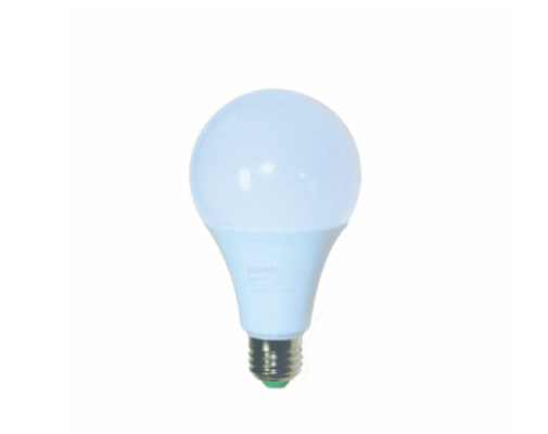 Hinh bong bulb duhal 505x400