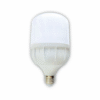 Bóng led trụ công suất cao 30W KLB0302 Duhal