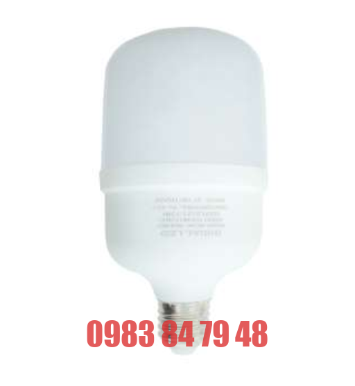 BÓNG LED XÔNG THANH LONG 12W (BXTL0121)