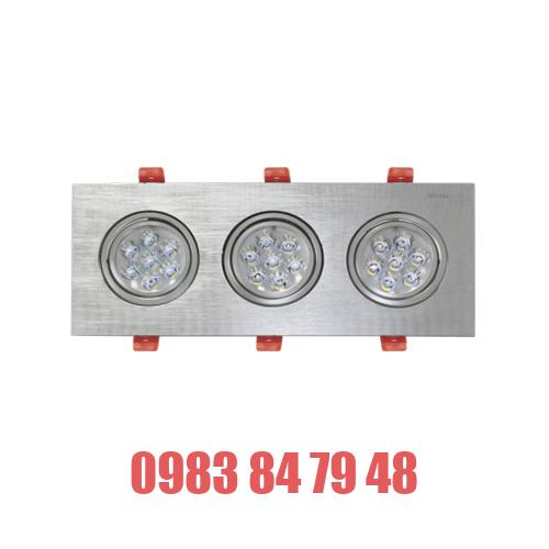 ĐÈN LED CHIẾU ĐIỂM ÂM TRẦN 21W (SDFC207)