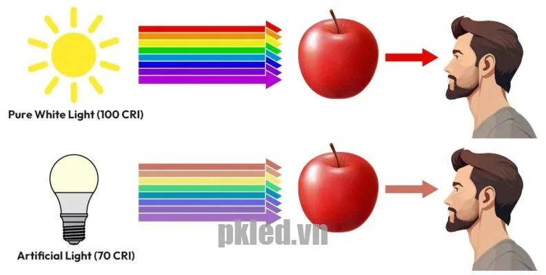 Chi so CRI Led 792x400