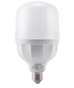 LED Bulb 40W ánh sáng trắng LBD2-40T