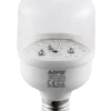 LED Bulb thanh long LBF-12