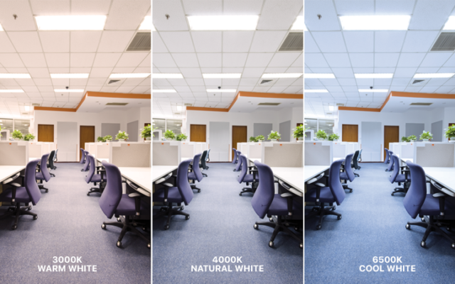 &Aacute;nh s&aacute;ng v&agrave;ng 3000K, &Aacute;nh s&aacute;ng trung t&iacute;nh 4000K, &Aacute;nh s&aacute;ng trắng 6500K