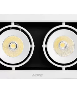 Đèn Downlight âm trần Chiếu điểm 2 đèn 12W ánh sáng trắng DLS-212T MPE