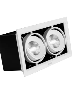 Đèn Downlight âm trần Chiếu điểm 2 đèn 12W ánh sáng trắng DLS-212T MPE