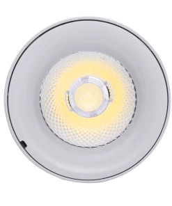 Đèn chiếu điểm gắn nổi 12W ánh sáng trắng SDL-12T MPE