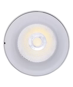 Đèn chiếu điểm gắn nổi 25W ánh sáng trắng SDL-25T MPE