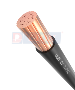 cấu trúc cáp điện Lion mã CV cáp hạ thế